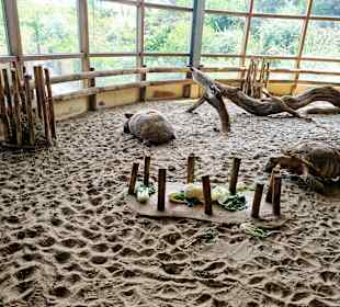 Zoo Emmen