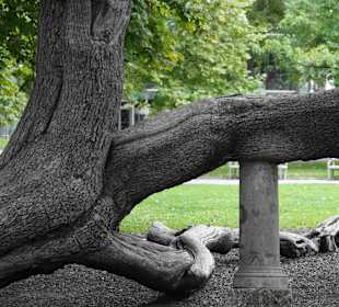 Ecke Bernhard-Paumgartner-Weg / Schloss Mirabell