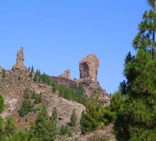 Das Wahrzeichen von Gran Canaria...