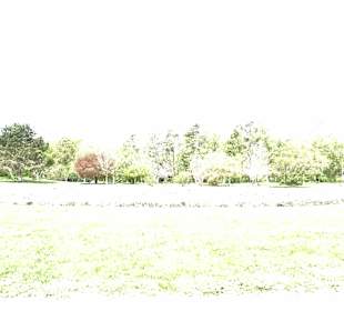 Garten Hohenheim