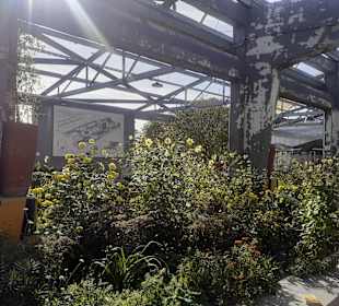 Gelände der Bundesgartenschau 2023