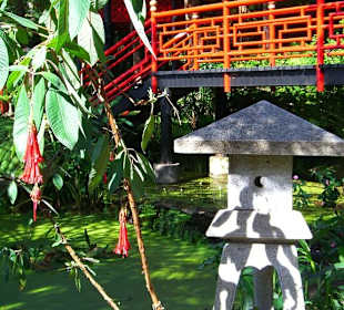 Monte Giardino tropicale