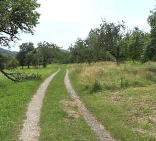 Premiumspazierweg Früchtetrauf-Leisawegle