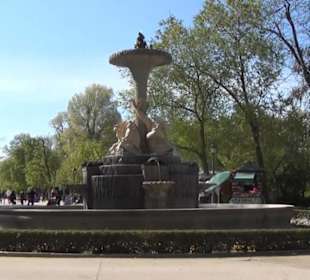 Fuente de los Galápagos