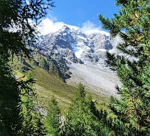 Nach dem Waldspaziergang öffent sich die Weite mit