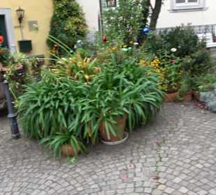 Klosterhof