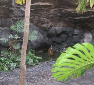 Fundacion Cesar Manrique