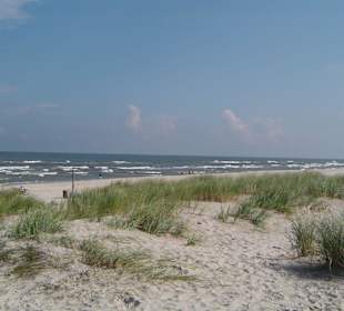 Plaża niedaleko ruchomych piasków