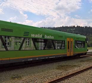 Nationalpark Bayerischer Wald