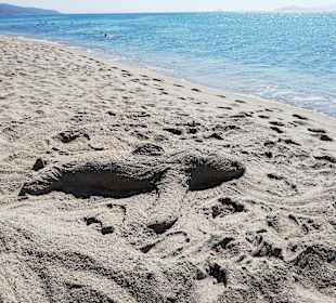 Magic Beach
