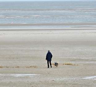 Strand Amrum