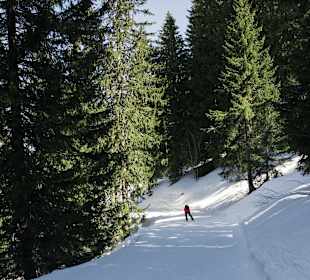 Skigebiet Portes du Soleil