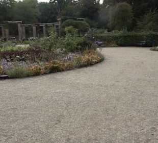 Rosengarten im Tiergarten