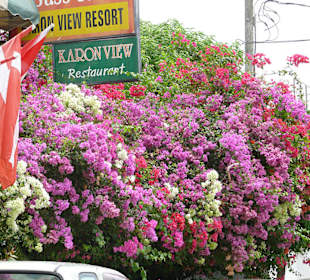 Andaman Seaview  Umgebung
