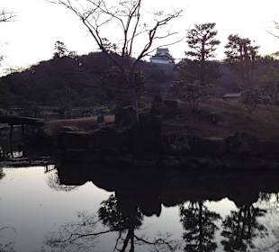 Hikone castle and surrounding garden