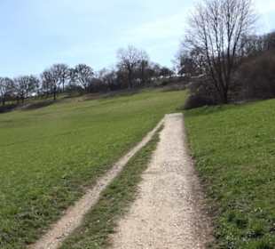 Premiumwanderweg "hochgeblickt"