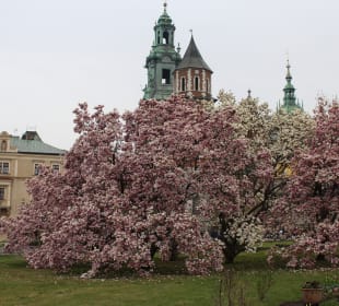 Schloss Wawel