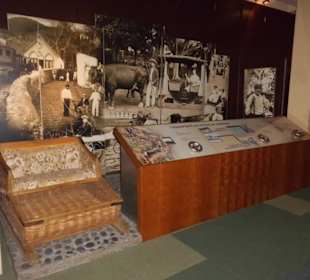 Vergangene Transportmittel auf Madeira.