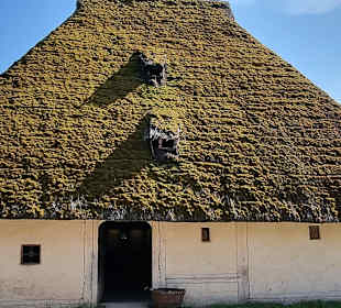 Stroh und Moosbedachungen