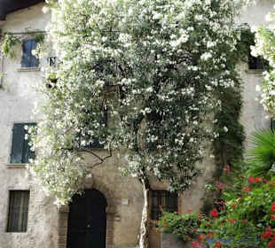 Streifzug durch die Altstadt von Limone