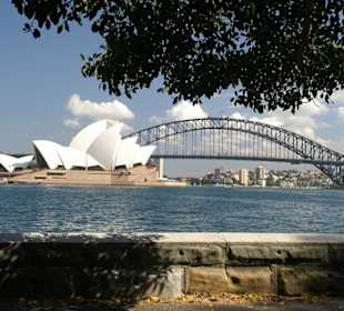 Oper mit Harbor Bridge