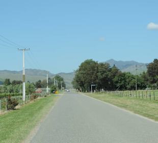 Mit dem Hop on Hop off Bus in der Region unterwegs