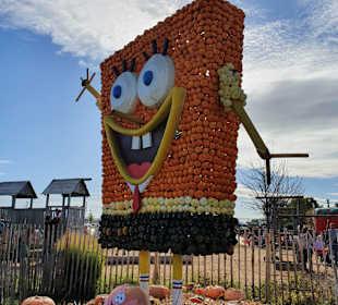 Bauer-Lipp Weiterstadt