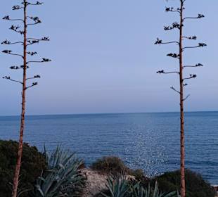 Praia de Nossa Senhora da Rocha