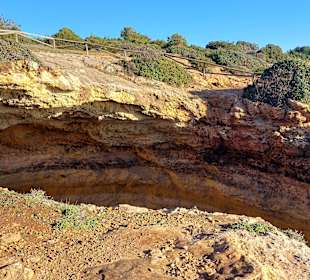 Seven Hanging Valleys Trail 