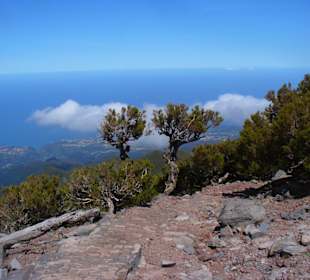 Am Pico Ruivo