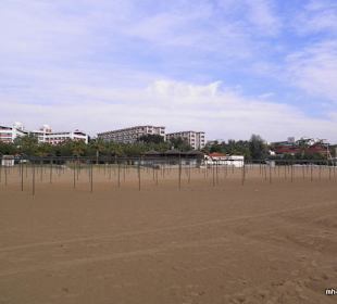 Vor Hane, Terrace und Oleander 
