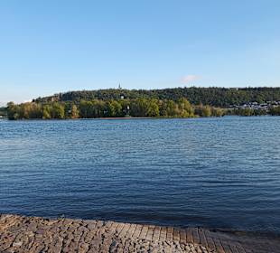 Wandern Rüdesheim am Rhein