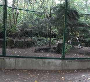 Tierpark 