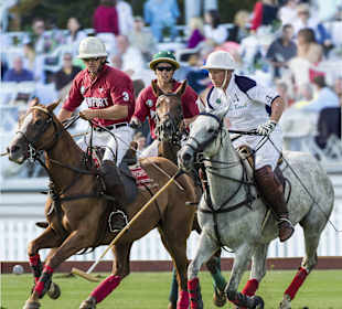 Newport International Polo Series