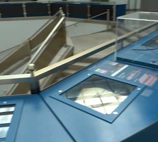 Staatliches Naturkunde Museum