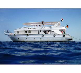 Delphintour 02.05.2012