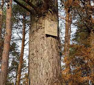 Kreuzung mit einer anderen Route in der Üfter Mark