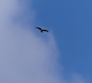 Wer ist denn noch höher als wir?