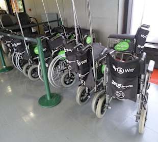 Klapp-Rollis von "MyWay" 