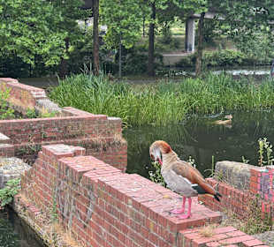 Bürgerpark