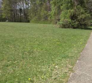 Strauchlehrpfad