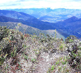 Podocarpus Nationalpark