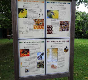 Im Bienengarten der Graftanlagen