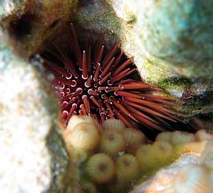 Was ist das eigentlich?