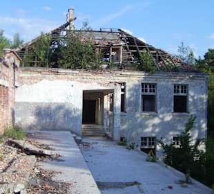 Zakład dla Nerwowo i Psychicznie Chorych Żydów Zofiówka