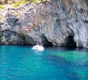Boat-Tour in die nächstgelegenen Buchten