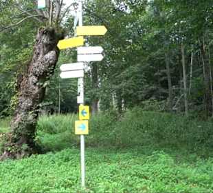 Sonnenaufgangs-Rundwanderung Rübgarten