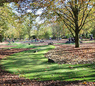 Schön in der Kurpark eingefügt