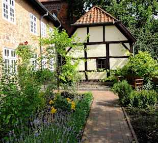 Impressionen aus dem Bibelgarten