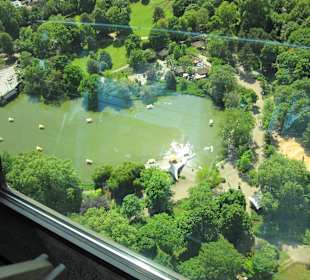 Blick auf den Louisenpark
